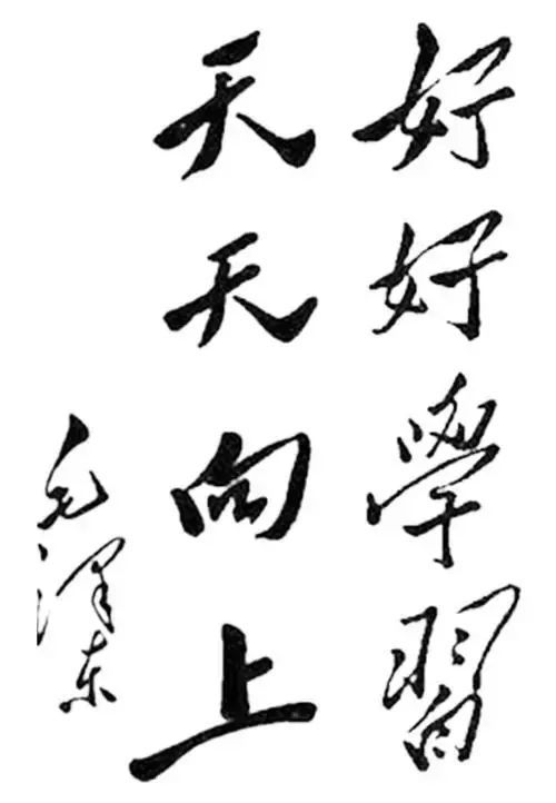 d88尊龙“好好学习天天向上”的由来